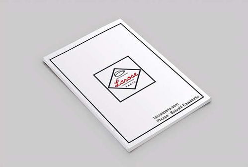 图文之间 画册版式设计的艺术欣赏与制作要义